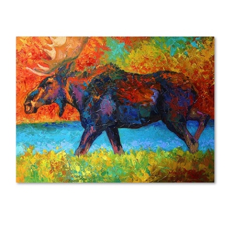 Marion Rose 'Moose EBSQ' Canvas Art,14x19